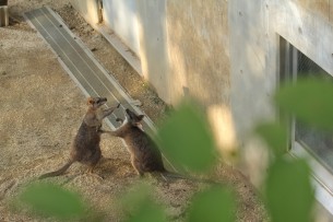 足立区生物園