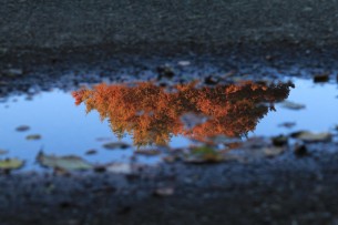 さいたま市桜区秋ヶ瀬公園